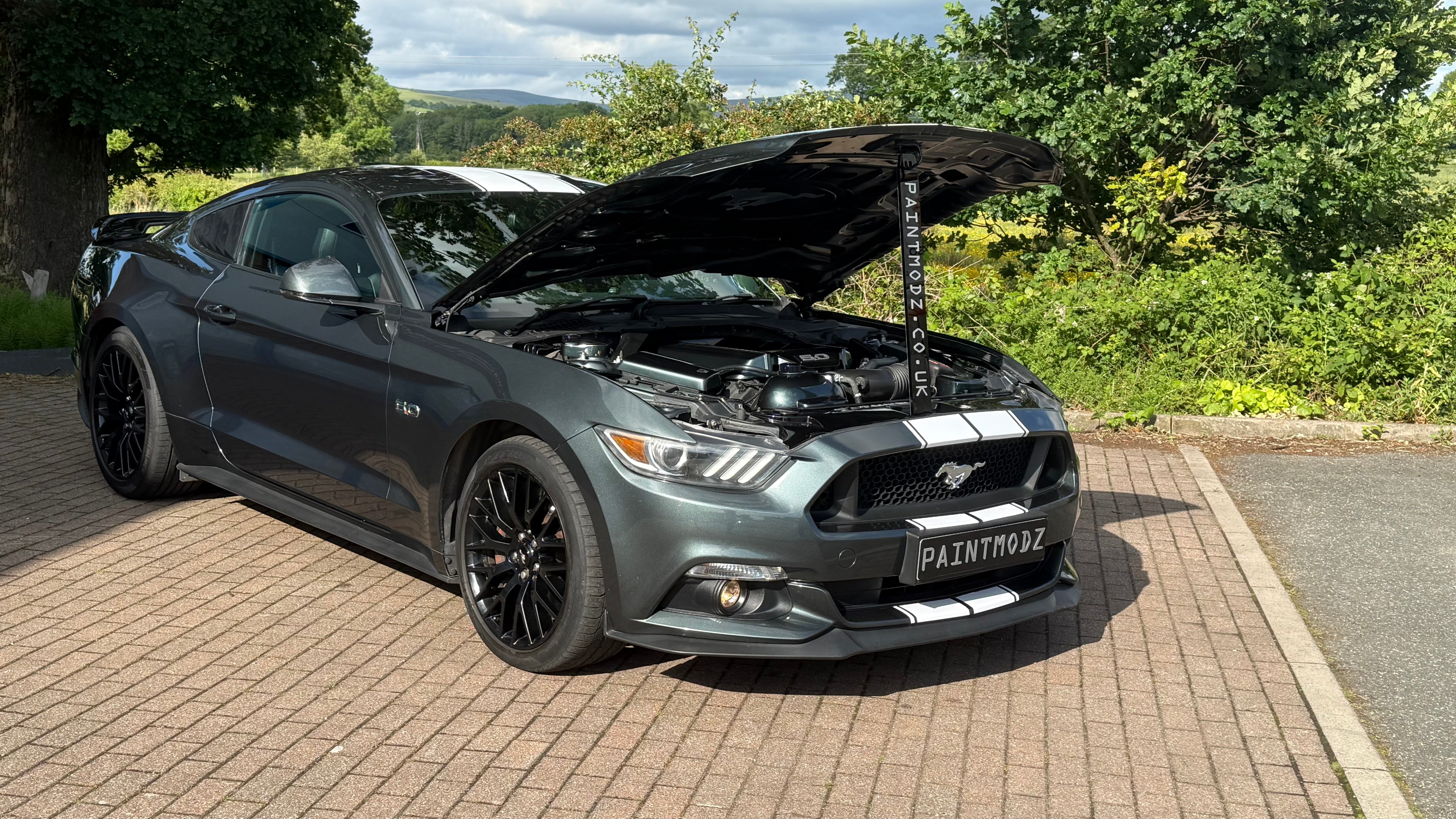 Mustang (6th Gen)