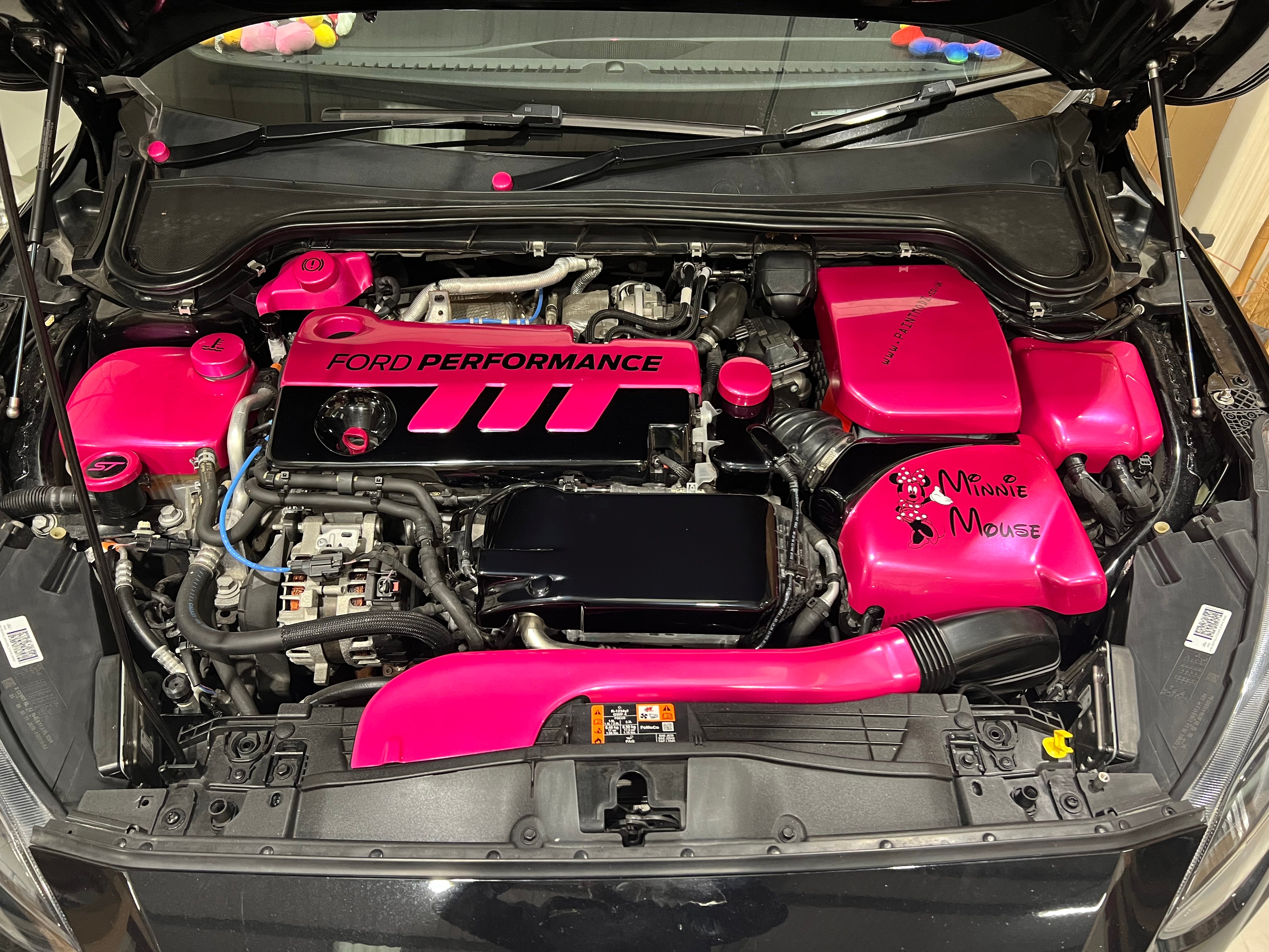 Proform Charge Cooler Cover - Mk4 Ford Focus ST Diesel (Plastic Finishes)