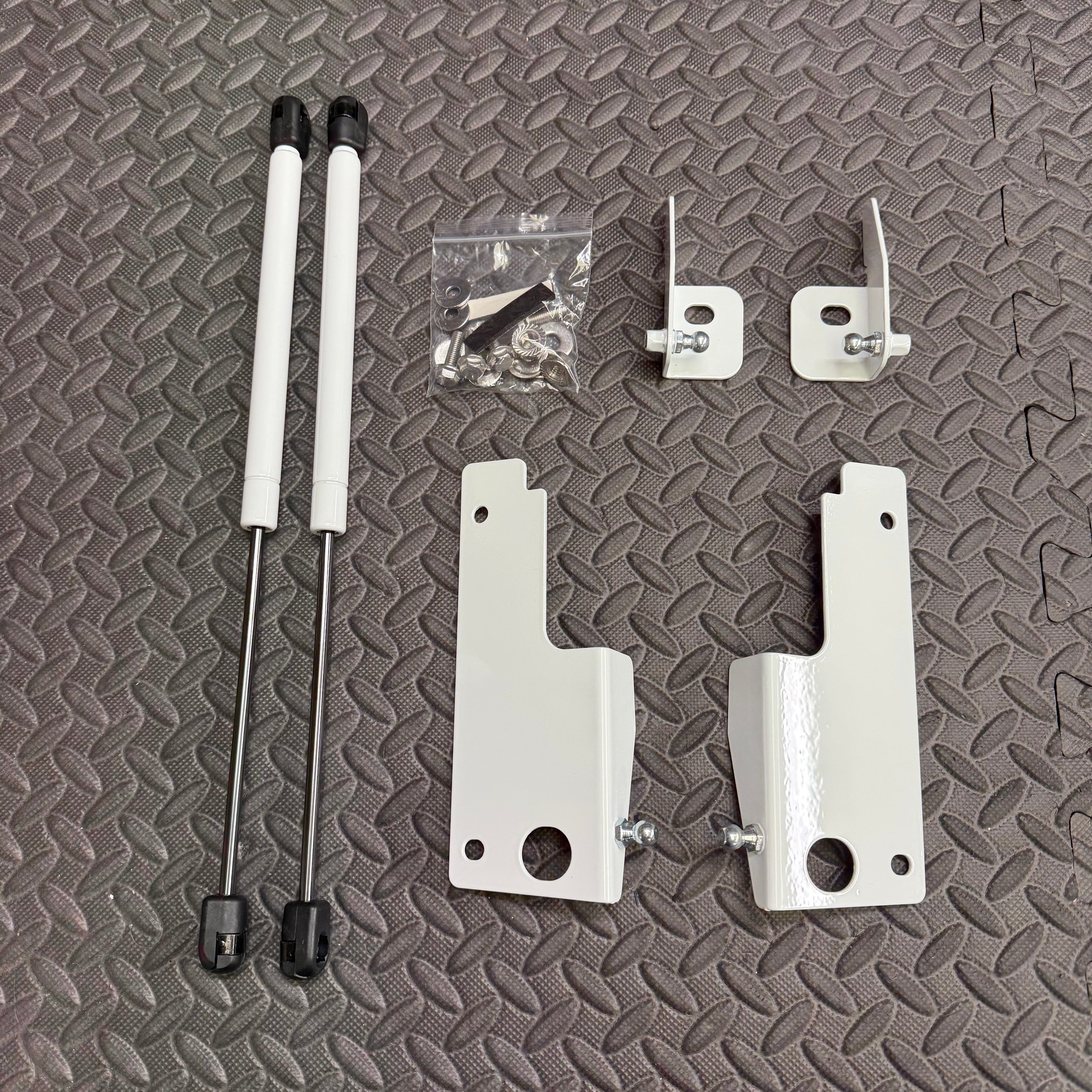 Mk4/4.5 Focus inc ST Gas Strut Bonnet Lifters - Painted Frozen White