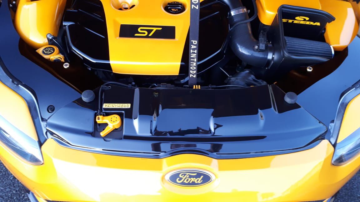 Proform Mk3 (Pre-Facelift) Focus ST Slam Panel Cover (Plastic Finishes)