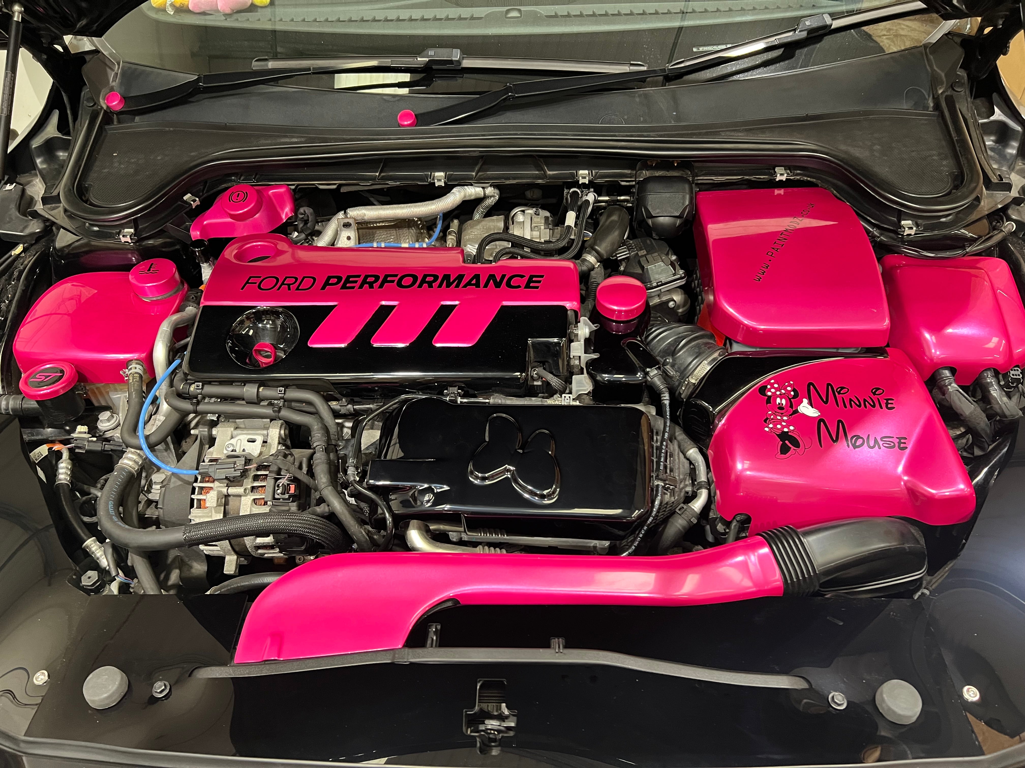 Proform Mk4 Focus Slam Panel Cover (Plastic Finishes)