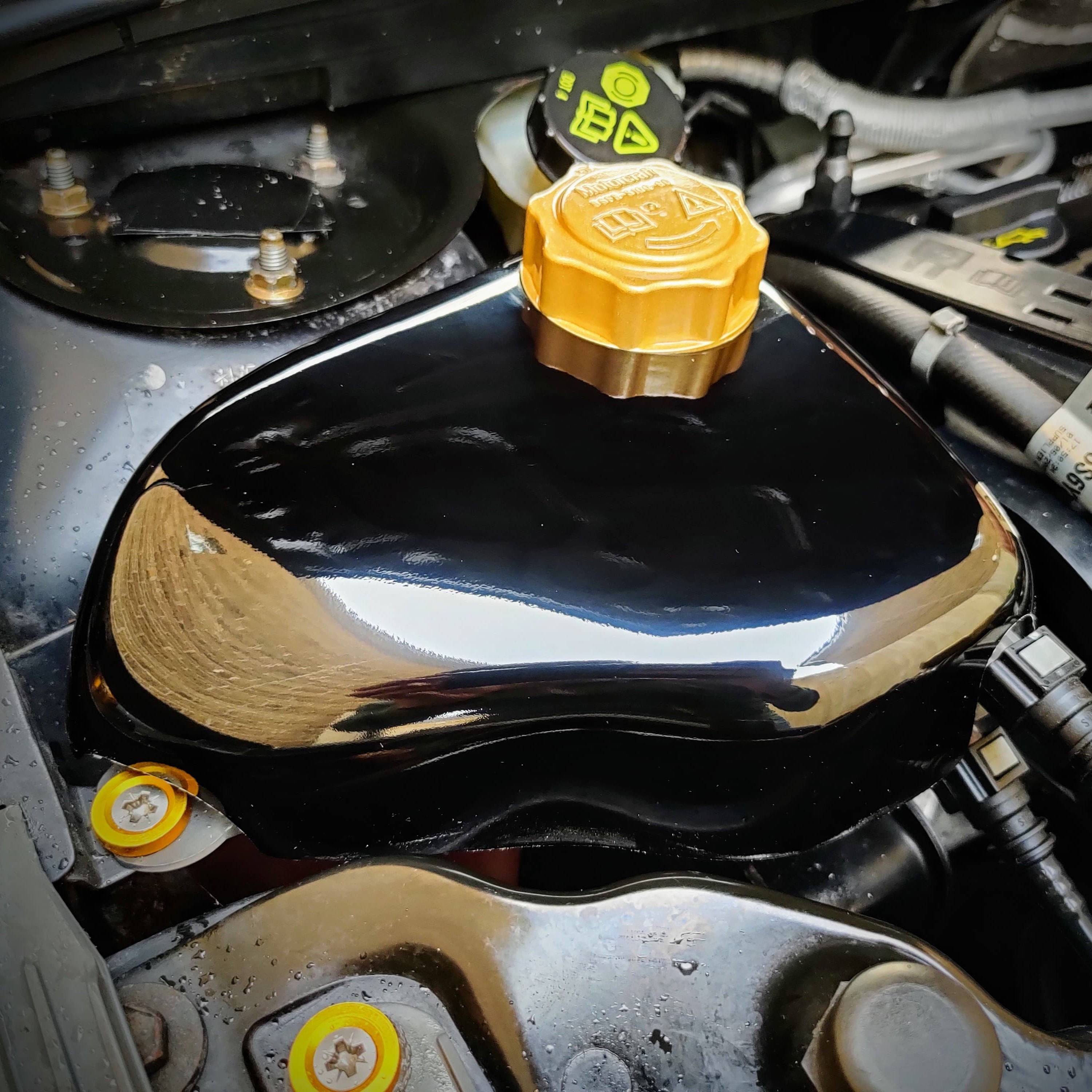 Proform Coolant Tank Cover - Mk6 Ford Fiesta - ST150 Variant - Gloss Black Plastic